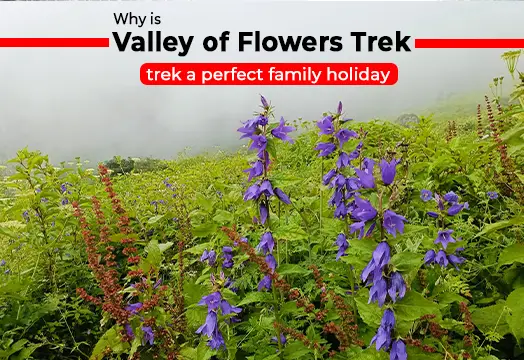 Why is Valley of Flowers trek a perfect family holiday